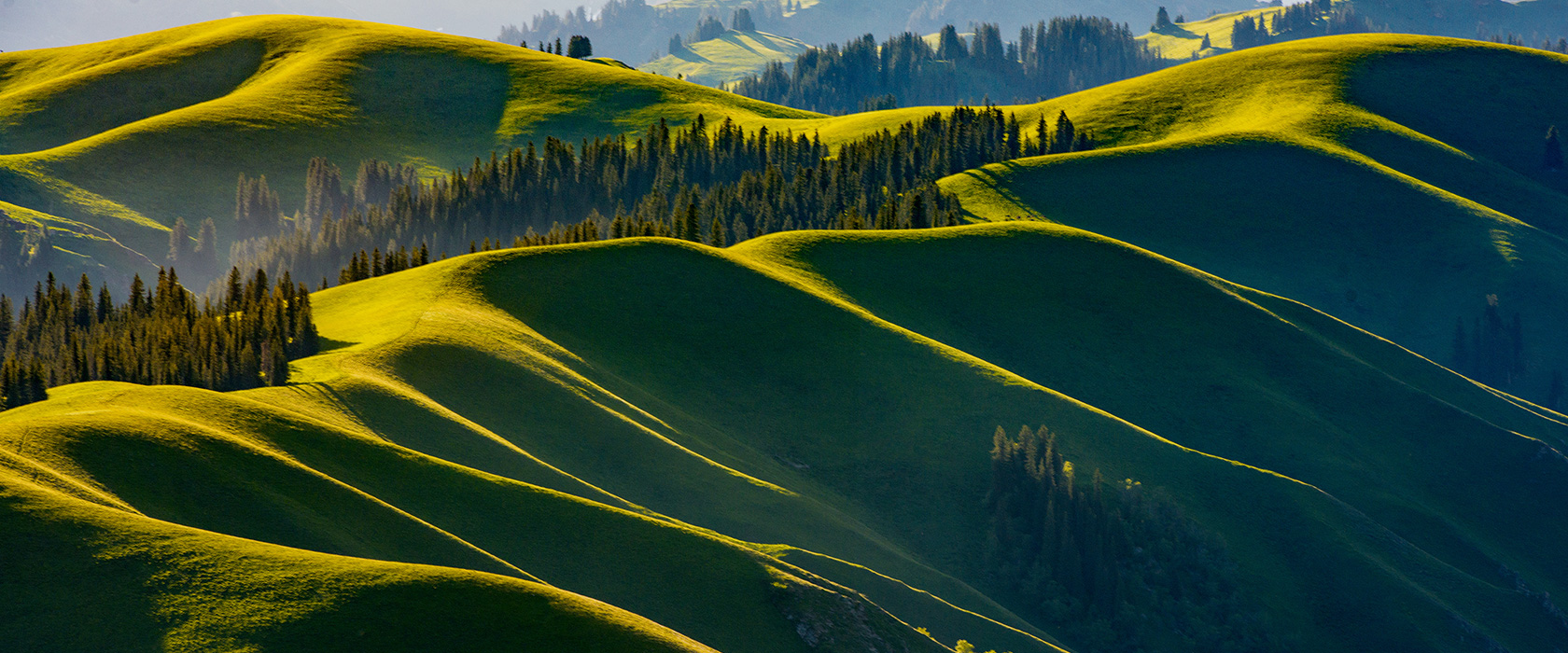 Z6���������й����ٷ���վ