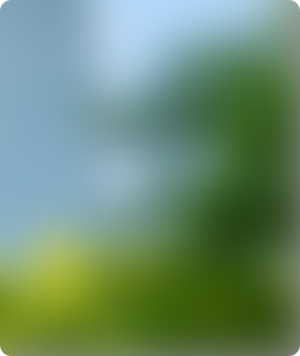 Z6���������й����ٷ���վ