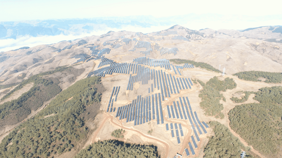 Z6���������й����ٷ���վ